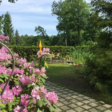 Sonnengelb * Schwielowsee