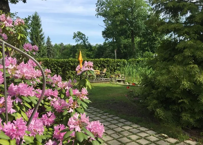 Sonnengelb * Schwielowsee